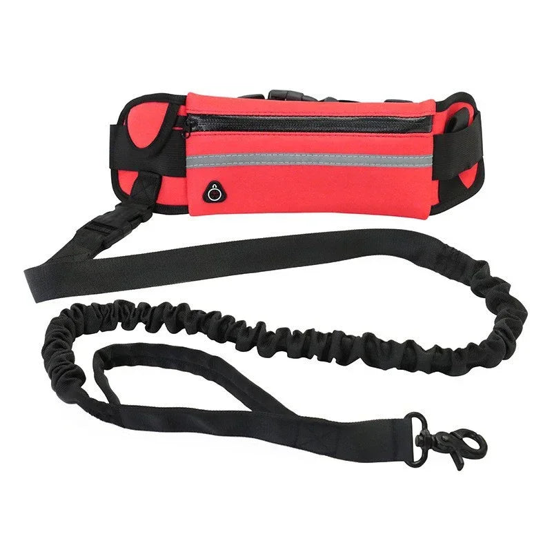 Hands Free Reflective Dog Leash With Retractable Belt Waist Bag