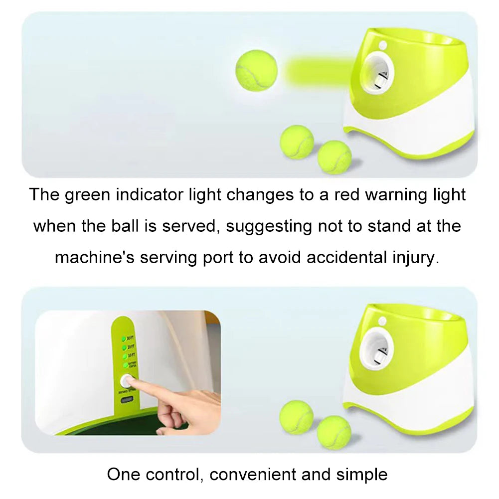 Automatic Dog Ball Launcher With 3 Balls