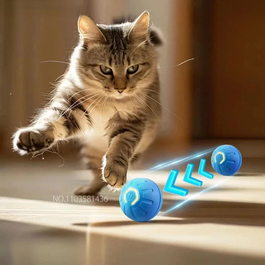 Electric Interactive Ball Toy For Dogs And Cats Playtime