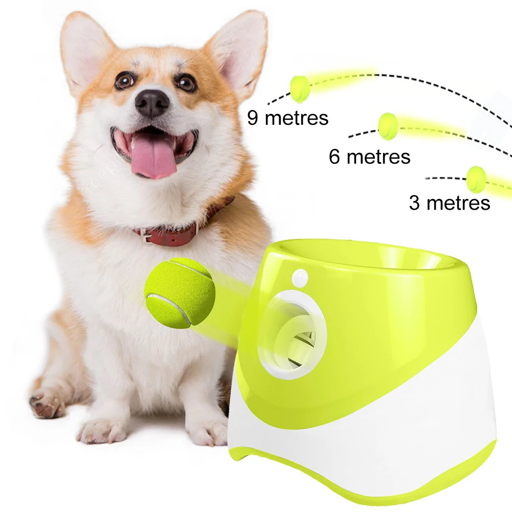 Automatic Dog Ball Launcher With 3 Balls