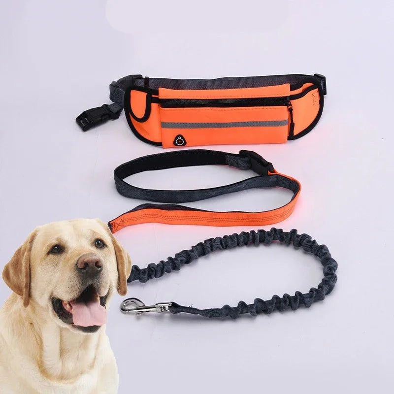 Hands Free Reflective Dog Leash With Retractable Belt Waist Bag