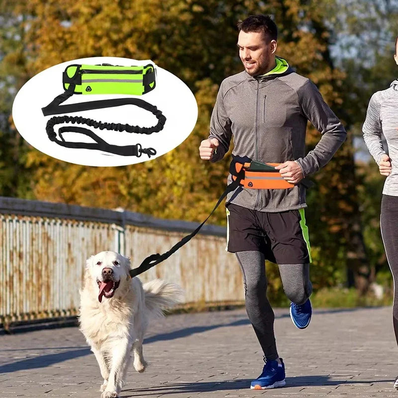 Hands Free Reflective Dog Leash With Retractable Belt Waist Bag