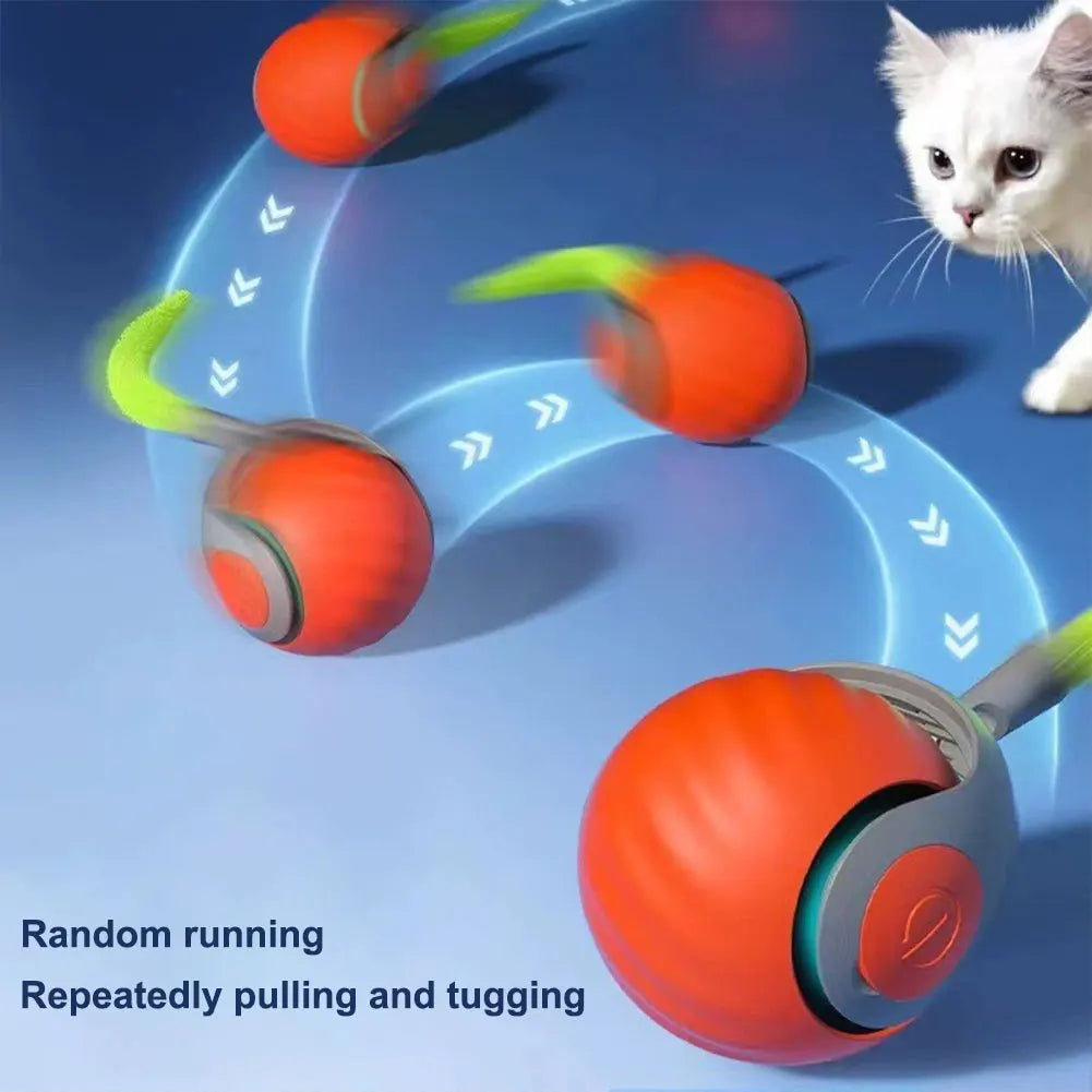 Automatic Moving Cat Toy Ball Rechargeable Interactive Pet Toy