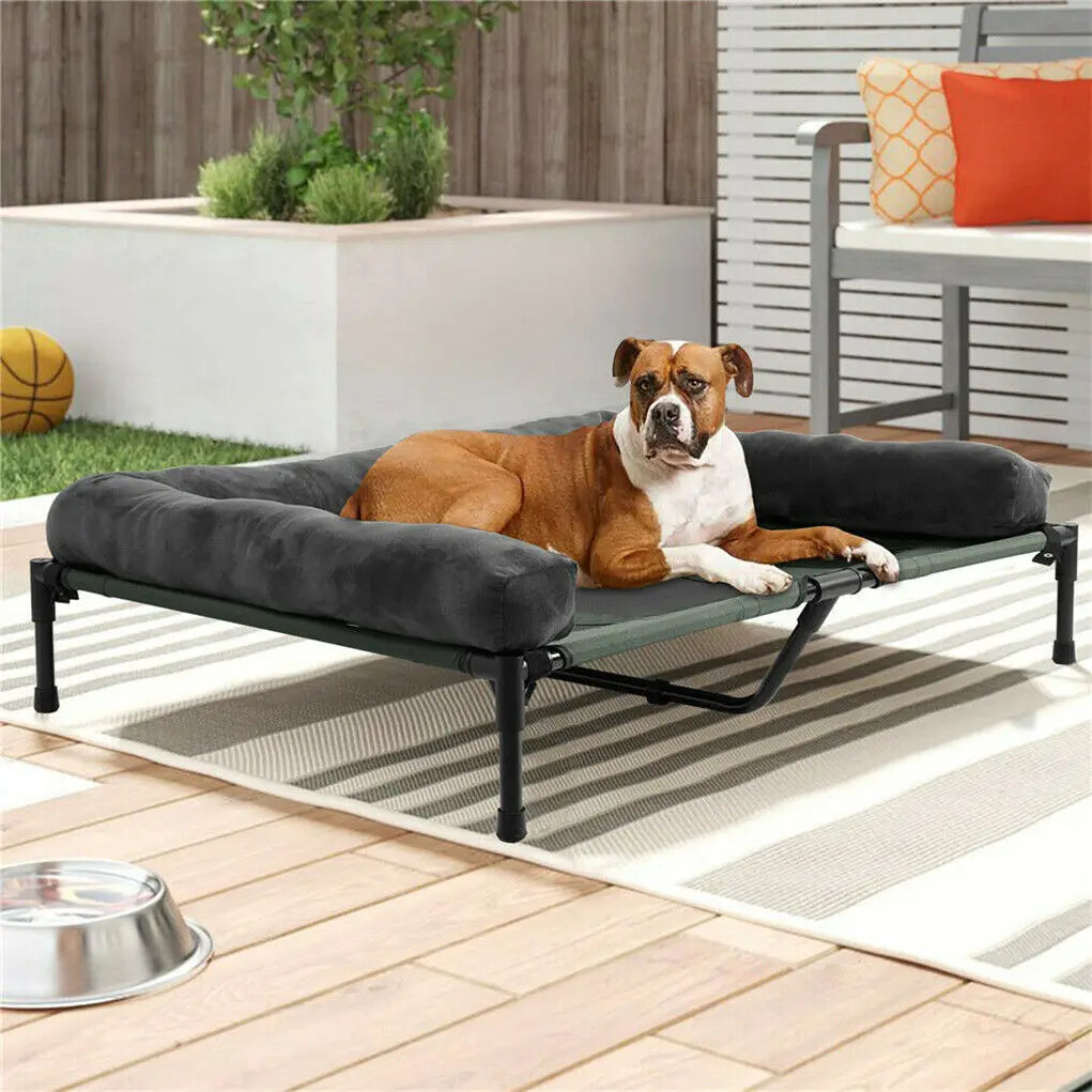 BINGOPAW Elevated Dog and Cat Bed Lounger With Detachable Bolster