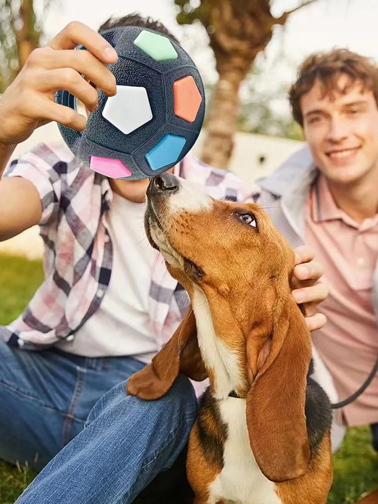 None Dog Calming Ball With Handle Interactive Football Toy Squeaky