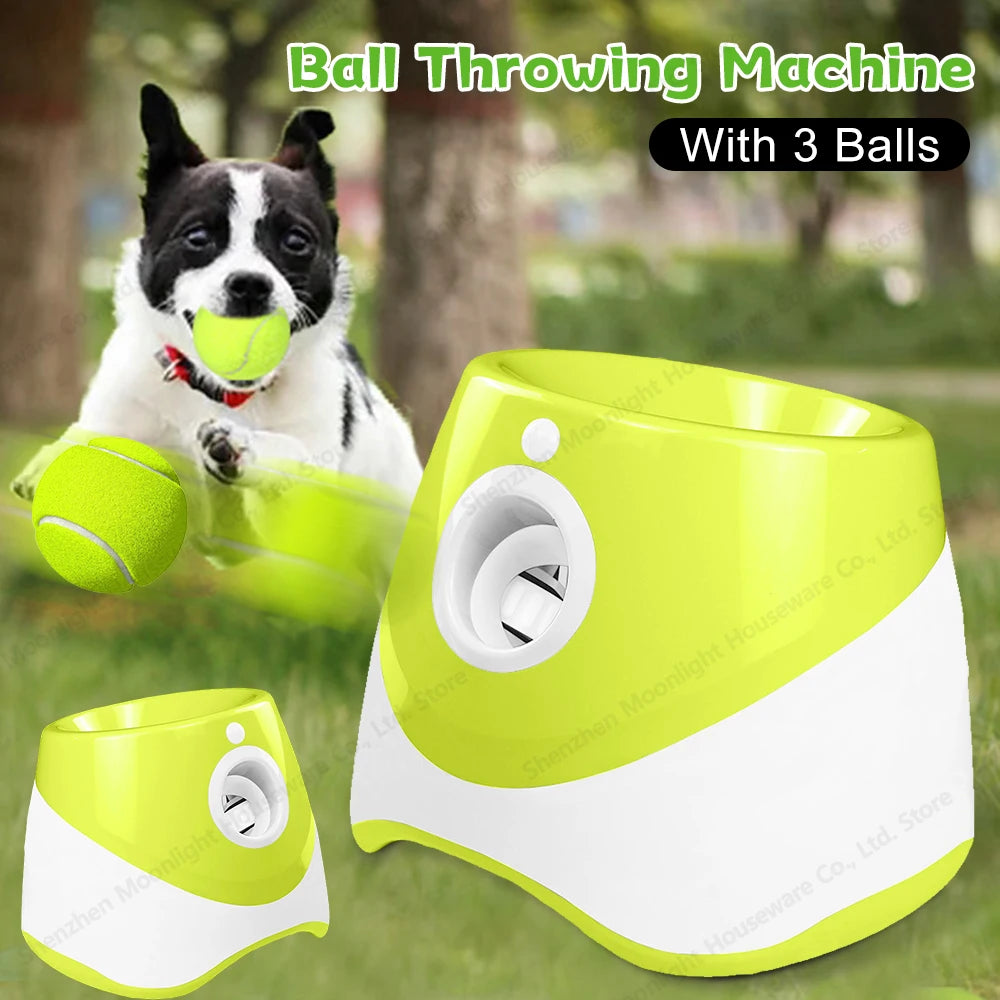 Automatic Dog Ball Launcher With 3 Balls