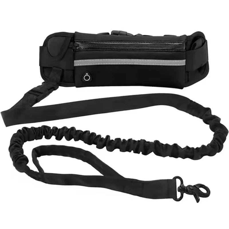 Hands Free Reflective Dog Leash With Retractable Belt Waist Bag