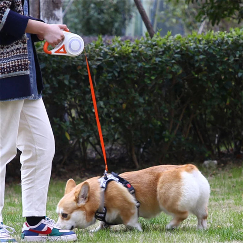 Automatic Retractable Dog Leash With LED Flashlight Nylon