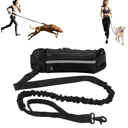 Hands Free Reflective Dog Leash With Retractable Belt Waist Bag