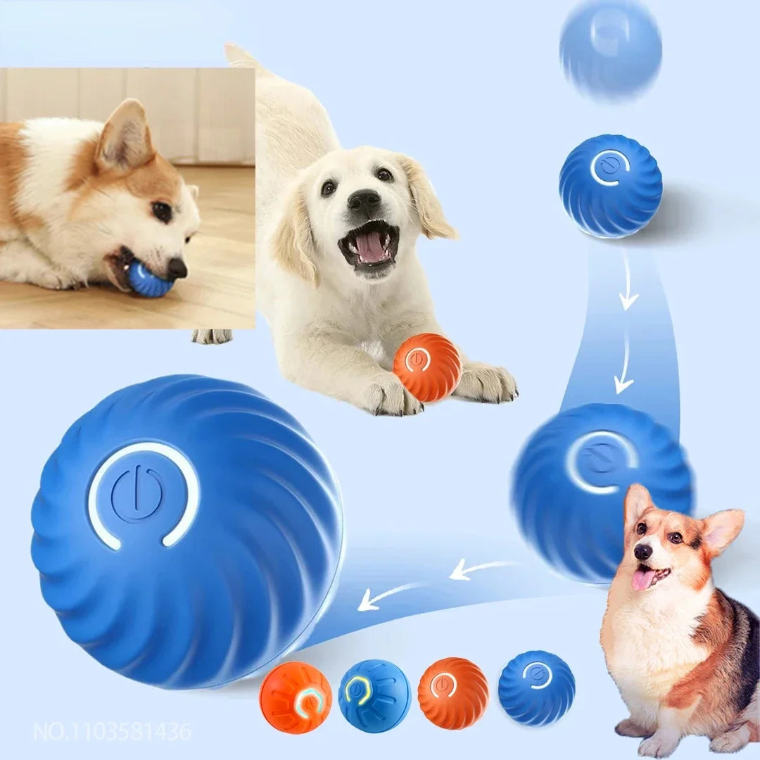 Electric Interactive Ball Toy For Dogs And Cats Playtime