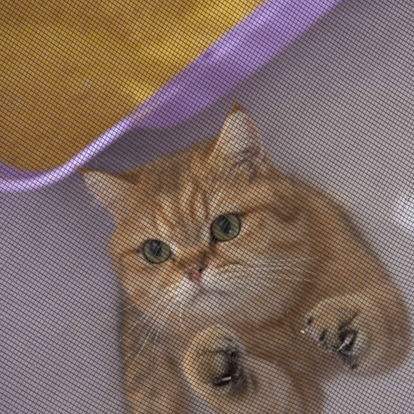 Foldable Mesh Ventilated Circular Cat Nest And Dog Pet House