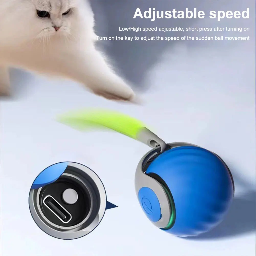 Automatic Moving Cat Toy Ball Rechargeable Interactive Pet Toy