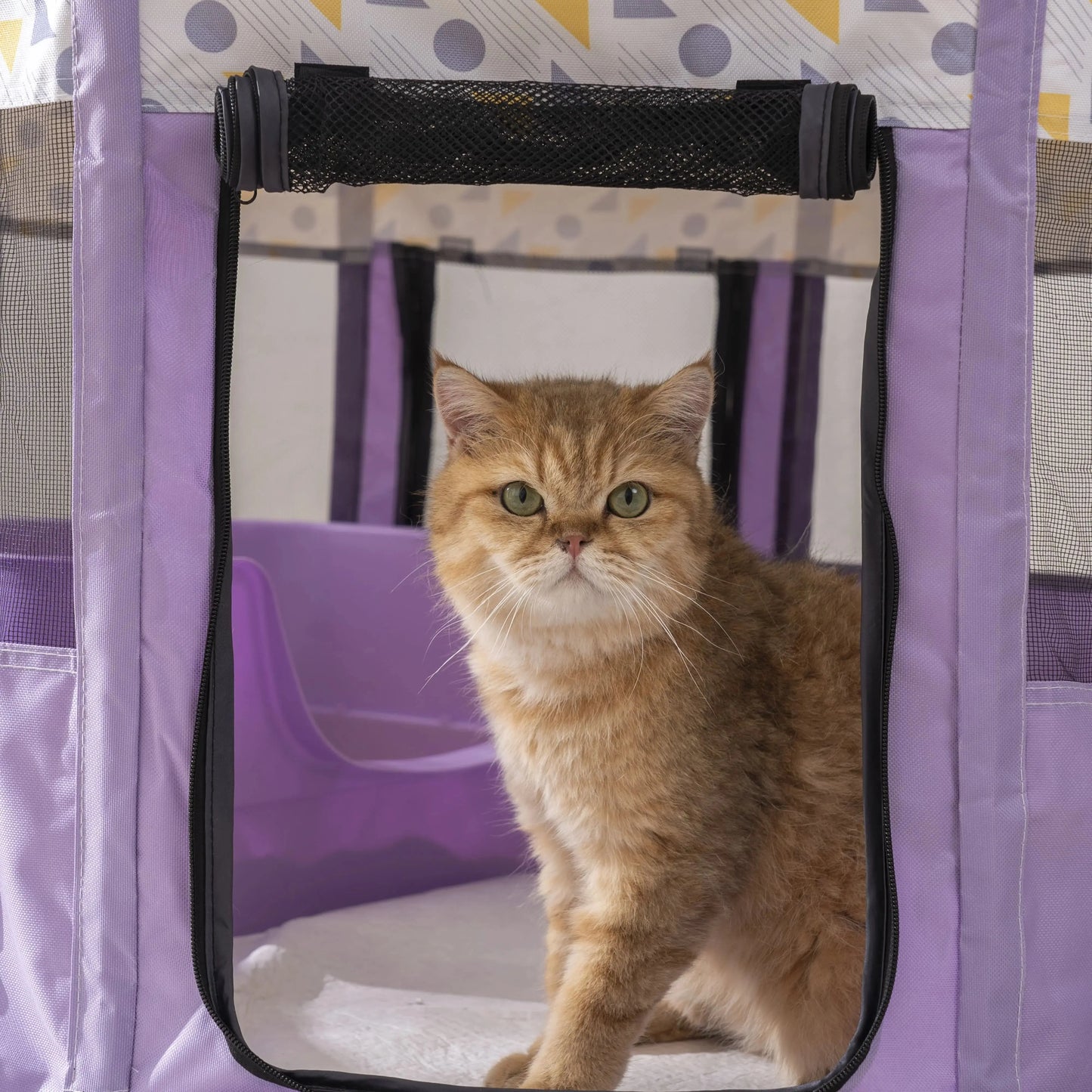 Foldable Mesh Ventilated Circular Cat Nest And Dog Pet House
